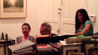 Lisette Oropesa  Sempre Libera  Traviata [upl. by Ahtnama852]