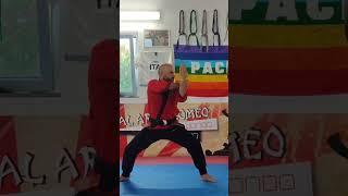 7° ESSENZA 🥋 shors warpedo martialart [upl. by Mehta]