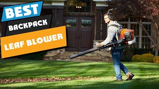 Top 10 Best Backpack Leaf Blower 2024 [upl. by Aeduj]