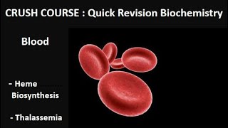 Biochemistry  blood heme synthesis  thalassemia  quick revision  blood module  Adham saleh [upl. by Edgerton901]