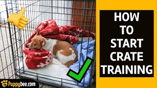 How To Start Crate Training a Puppy 8 tips [upl. by Anderer]