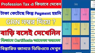 Ptax payment error solve  Profession Tax bank payment errror solve  search Profession Tax GRN NO [upl. by Merow104]