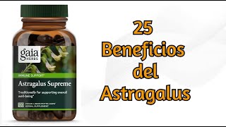 Astragalus 25 Beneficios para la Salud [upl. by Kiernan773]