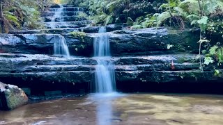 Blue Mountains Waterfalls Terrace Falls Circuit Hazelbrook NSW Blue Mountains Australia [upl. by Linette]