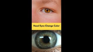 Why do hazel eyes change color 👁️ sciencefacts [upl. by Arbmat]