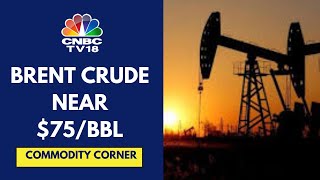 Crude Oil Prices Decline 25 Overnight As OPEC Cuts Global Demand Forecast  CNBC TV18 [upl. by Burkle171]