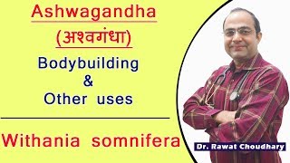 Ashwagandha Uses and Dose  Best medicine for Bodybuilding  Withania Somnifera [upl. by Georas]