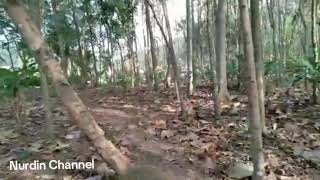 lokasi pamahan karangmangu dusun jambuluwukAGNurdinchannel8591 [upl. by Williamsen]