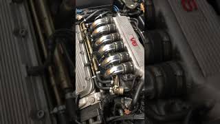 Alfa Romeo V6 Sound Busso Engine [upl. by Raffaello]