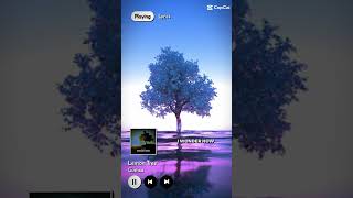 Lemon Tree  Gustixa  Lyrics music song lyrics lemontree spotify fyp [upl. by Raddy]