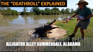 THE DEATH ROLL EXPLAINED Alligator Alley Summerdale AL [upl. by Milewski995]