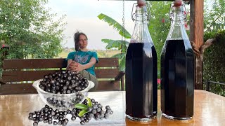 Refreshing Aronia Berry Chokeberry Antioxidant Syrup [upl. by Editha]