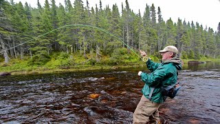 Steelhead amp Salmon on a Fly  How To [upl. by Avid135]