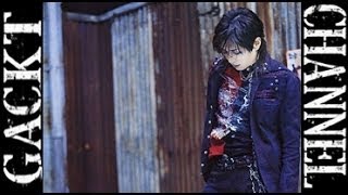 †GACKT†【驚愕】とある日の柔軟体操メニュー†ガクト† [upl. by Bettzel733]