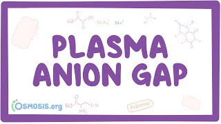 Plasma anion gap [upl. by Anial]