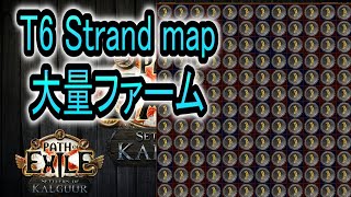 T6 Strand map Farmの紹介【PoE 325】 [upl. by Seraphina641]