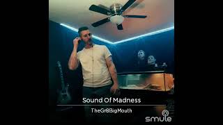 Shinedown Sound of Madness Vocals [upl. by Bourke124]