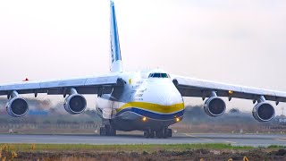 INCREDIBLE ANTONOV An124 LANDING  Larnaca Airport Plane Spotting [upl. by Araem]