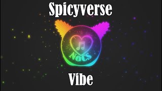 Spicyverse  Vibe [upl. by Yrovi120]