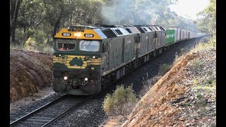 G539523525 on 7901V at Bealiba Bank 240824 [upl. by Etnahc]