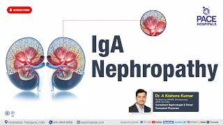 IgA Nephropathy  Reason Symptoms Diagnosis amp Treatments  Glomerular Disease  CKD [upl. by Matthei]