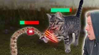 PhillTCast Reacts To HOW Cats Broke The Game quotCAT NIPquot [upl. by Hahn]