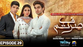 Sirf Tum  Episode 29  Har Pal Geo  12th August 2023 [upl. by Japheth324]