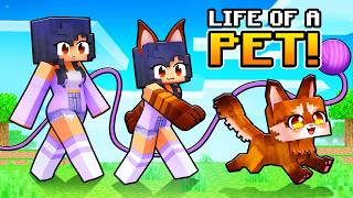 Having a PET LIFE in Minecraft [upl. by Aynor]