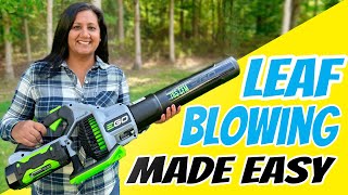 Leaf Blowing Made Easy  5 Top Tips [upl. by Atreb]