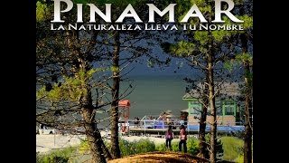 PINAMAR LA NATURALEZA LLEVA TU NOMBRE  DOCUMENTAL [upl. by Aiduan]