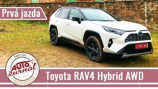 Toyota RAV4 Hybrid 2WD4WD 2019 TEST [upl. by Jaye]