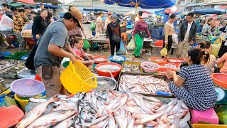 Best Wholesale Fish Market amp Seafood In Cambodia  Massive Fish Distribution Site amp Vendors Life [upl. by Anirbak182]