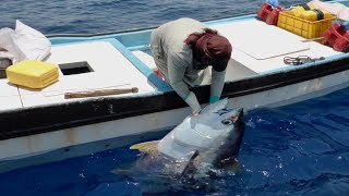 Amazing Fishing Skills Yellowfin Tuna Never Seen Before  Most Satisfying Sea Catching Tuna Videos [upl. by Lymn]