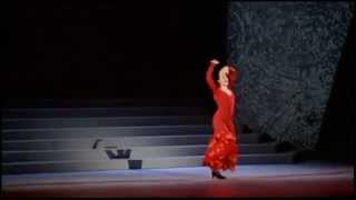 Maria Pages  Riverdance The New Show  Firedance 1996 [upl. by Kinney]