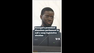 Senegals president dissolves parliament to call a snap legislative election [upl. by Elianora]