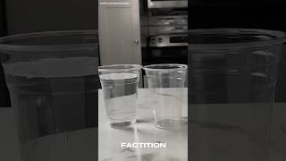 Capillary Action🔥🤯facts science [upl. by Naaman]