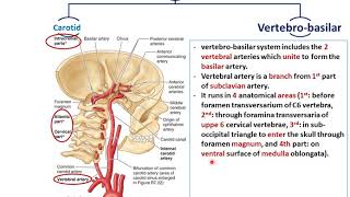 Blood Supply of the Cerebral Hemispheres  Dr Ahmed Farid [upl. by Ilam]