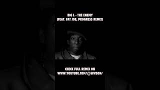 Big L  The Enemy Feat Fat Joe Progress Remix boombap fatjoe hiphop bigl rap oldschool [upl. by Airotkciv]