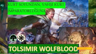 MTG Arena Kısa Maç  Yeni Tolsimir v4 Destesini denedim 88 [upl. by Ydor]