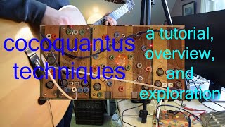 Cocoquantus Techniques  Tutorial and Overview [upl. by Alcock480]