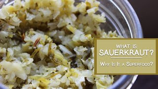 What is Sauerkraut and Why Is It a Superfood [upl. by Idurt]