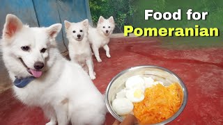 Food of Pomeranian dog 🐶 😍 [upl. by Thanasi]