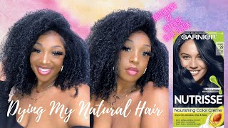 DYING MY NATURAL HAIR  DETAILED START TO FINISH  GARNIER NUTRISSE INTENSE BLUE BLACK [upl. by Acinnor]