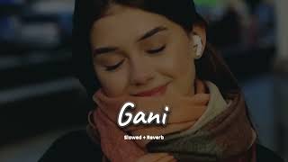 GANI Song 🎵 Lovely❤ song🌹panjabisong 🌹song🎵 🌹youtubevideo song gani 🎵 [upl. by Aleibarg947]