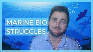 8 Things you should consider before wanting to become a marine biologist  Life in Academia [upl. by Mode488]