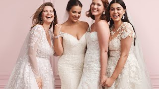 More Styles amp Sizes for You  Davids Bridal [upl. by Audrit940]