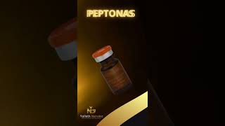 Beneficios de las peptonas en musculos [upl. by Pearline]