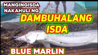 Grabe Laki ng isda nahuli nila Blue Marlin [upl. by Ronym404]