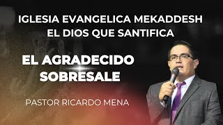 EL AGRADECIDO SOBRESALE 06122024 Pastor Ricardo Mena 503 7681 4950 [upl. by Adnavoj]