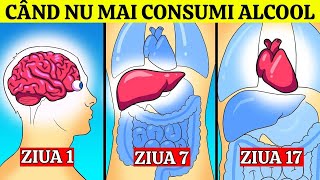 Ce Se Întâmplă Cu Organismul Tău Când Încetezi Să Mai Bei Alcool [upl. by Ecad]